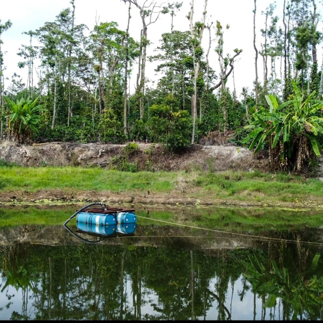 A natural pond with surrounding forest and a small floating platform
